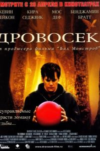 Дровосек (фильм 2004) смотреть