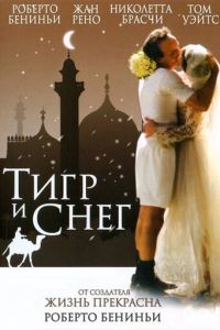 Тигр и снег (фильм 2005) смотреть