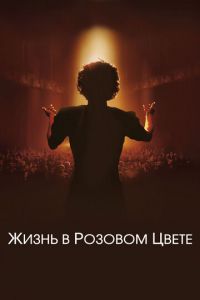 Жизнь в розовом цвете (фильм 2007) смотреть