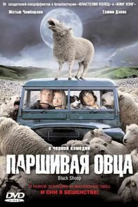 Паршивая овца (фильм 2006) смотреть