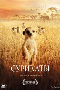 Сурикаты (фильм 2007) смотреть