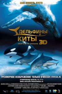 Дельфины и киты 3D (фильм 2008) смотреть