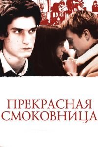 Прекрасная смоковница (фильм 2008) смотреть