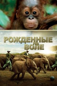 Рожденные на воле (фильм 2011) смотреть