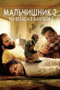 Мальчишник 2: Из Вегаса в Бангкок (фильм 2011) смотреть