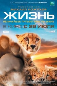 Жизнь (фильм 2011) смотреть