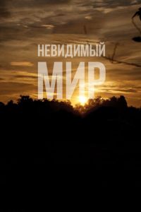 Невидимый мир (фильм 2012) смотреть