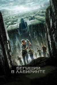 Бегущий в лабиринте (фильм 2014) смотреть