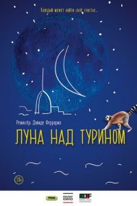 Луна над Турином (фильм 2013) смотреть