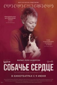 Собачье сердце (фильм 2015) смотреть