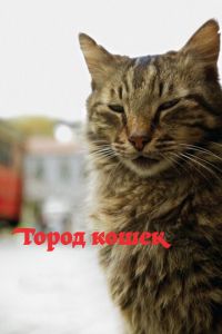 Город кошек (фильм 2016) смотреть