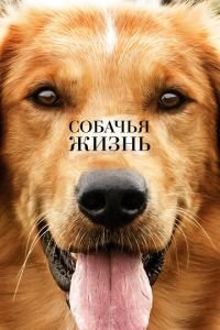 Собачья жизнь (фильм 2017) смотреть