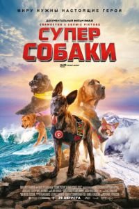 Суперсобаки (фильм 2019) смотреть