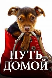 Путь домой (фильм 2019) смотреть