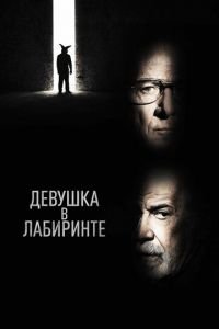 Девушка в лабиринте (фильм 2019) смотреть