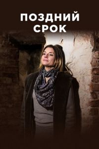 Поздний срок (сериал) смотреть