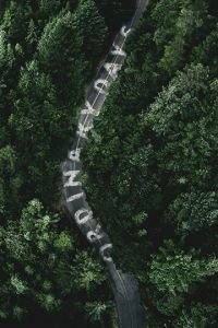 Обычные дни (фильм 2017) онлайн