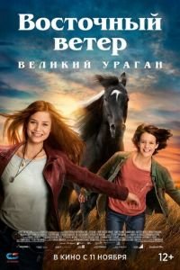 Восточный ветер. Великий ураган (фильм 2021) смотреть