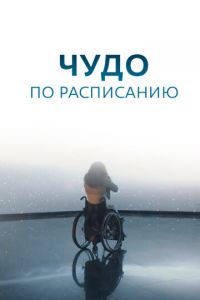 Чудо по расписанию (сериал) смотреть