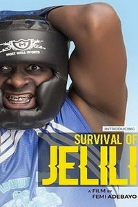 Приключения Джелили (фильм 2019) онлайн