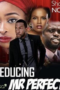 Соблазнить мистера Совершенство (фильм 2019) смотреть