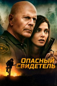 Опасный свидетель (фильм 2022) смотреть