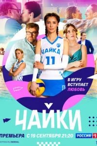 Чайки (сериал) смотреть