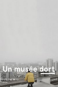 Музей спит (фильм 2020) онлайн