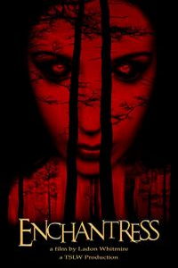 Чародейка (фильм 2022) онлайн