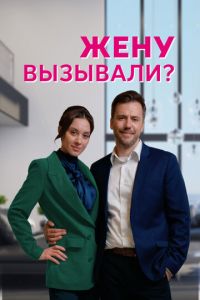 Жену вызывали? (сериал) онлайн