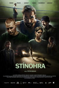 Игра теней (фильм 2023) онлайн