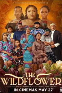 Дикий цветок (фильм 2022) онлайн