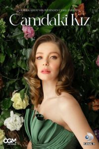 Девушка за стеклом (сериал) смотреть