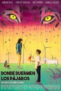 Там, где спят птицы (фильм 2022) онлайн