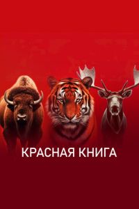 Красная книга (сериал) смотреть