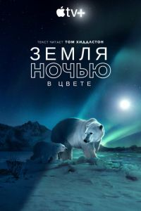 Земля ночью в цвете (сериал) смотреть