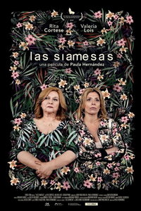 Близняшки (фильм 2020) смотреть