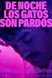 По ночам все кошки черные (фильм 2022) смотреть