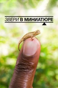 Звери в миниатюре (фильм 2017) онлайн