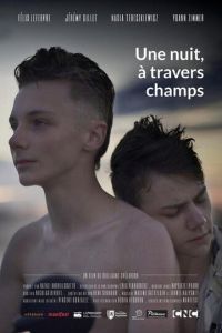 Однажды ночью через поля (фильм 2020) онлайн