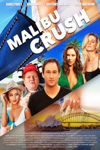 Любовь в Малибу (фильм 2020) смотреть