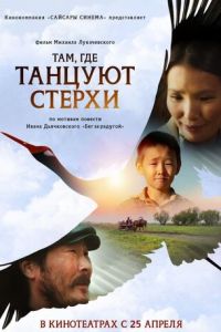 Там, где танцуют стерхи (фильм 2024) онлайн