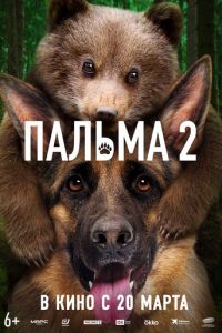 Пальма 2 (фильм 2024) смотреть