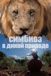Симбиоз в дикой природе (сериал) смотреть