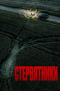 Стервятники (фильм 2025) онлайн