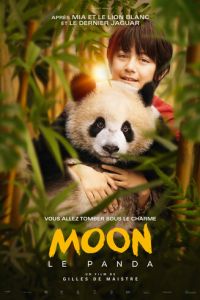 Моя панда (фильм 2025) смотреть