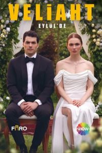 Наследник (сериал) смотреть