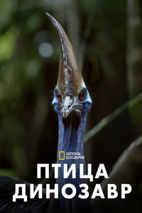 Птица-динозавр (фильм 2017)