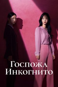Госпожа Инкогнито (сериал) смотреть