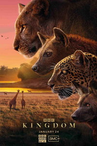 Царство животных (сериал)